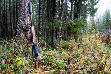 Hunting carbine by a tree in the forest