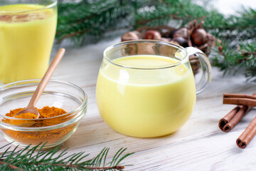Obraz na płótnie Canvas Hot New year and christmas drink from turmeric, Golden milk with fir branches.
