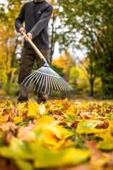 Mit dem Rechen im Herbst viele Blätter zusammen fegen kehren aufräumen