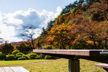 Tourist destination in Japan　Autumn leaves　