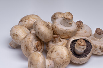 Mushroom Button isolated in white background