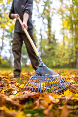 Blätter zusammen fegen im Herbst 