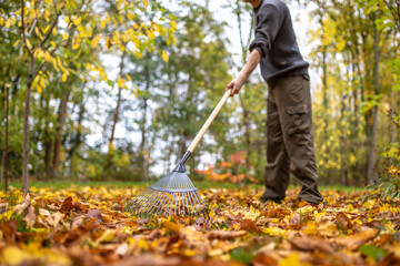 Blätter im Herbst zusammenfegen