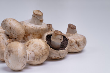 Mushroom Button isolated in white background