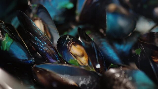 Close-up of fresh delicious mussels cooking in kitchen pan with aromatic herbs, garlic and white wine. Steamed mediterranean molluscs boiling in cooking pan, sea delicacy for luxury restaurants