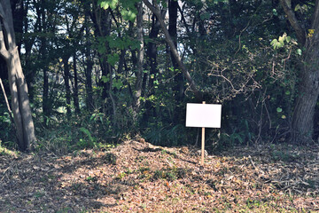 山林、土地を販売しているイメージ