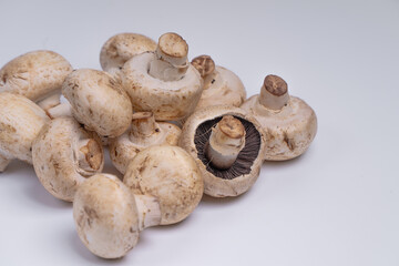Mushroom Button isolated in white background