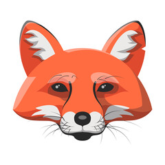 Fox face orange portrait. Cartoon vector clip art of a beautiful detailed face of a fox with mustache, nose, shiny eyes and cute ears. Black and white illustration of a wild animal head