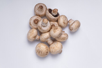 Mushroom Button isolated in white background