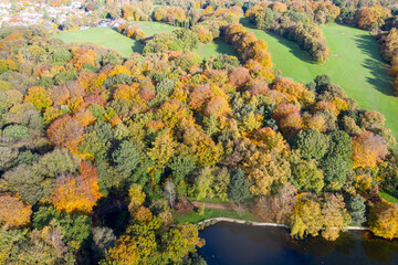 A beautiful aerial photo in the autumn fall at the park in Leeds West Yorkshire known as Roundhay Park showing the brown and green colours on the trees