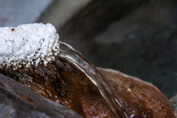 温泉の蛇口と湯の花
