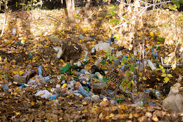 Garbage heap in the autumn forest