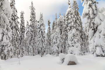 Winter landscape. Taganay national Park, Zlatoust city, Chelyabinsk region, South Ural, Russia.