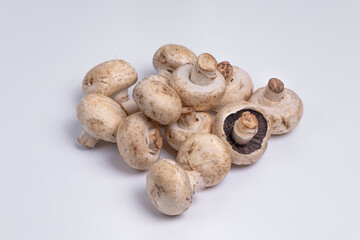 Mushroom Button isolated in white background