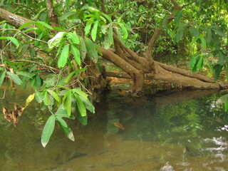 Backpacking through the waterfalls and jungles down the Mekong River in Laos, Southeast Asia