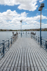 Naklejka premium urban lagoon in the interior of Brazil on a sunny day with aquatic birds