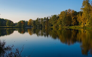 Fototapeta na wymiar Autumn trees reflected in lake. Stawy Sefańskiego Łódź Poland