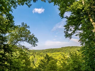 Scenic Gorge Overlook, Tinker’s Creek Overlook in Cleveland Metro Parks, Walton Hills with a vista looking out at green tree tops and a bright blue sky!