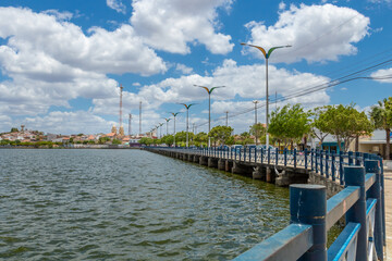urban lagoon in the interior of Brazil on a sunny day with aquatic birds
