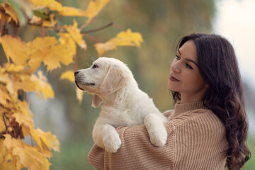 Beautiful brunette woman with her golden retriever puppy, autumn beautiful colors, emotions