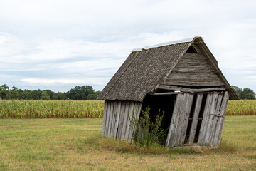 Old wooden shack in the fields