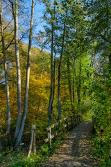 Wanderweg und Holzbrücke bei Haan-Gruiten 
