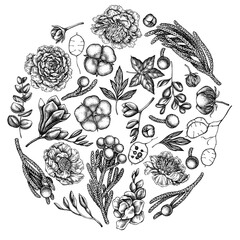 Round floral design with black and white ficus, eucalyptus, peony, cotton, freesia, brunia