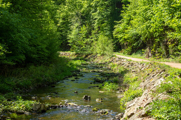 View of river course in the valley of the wild Weißeritz in the Rabenauer Grund near Freital Dresden,Germany