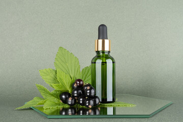 One green glass bottles with serum, essential oil or other cosmetic product with sprig of black currant on mirror, green background. Natural Organic Beauty Cosmetic concept. Front view