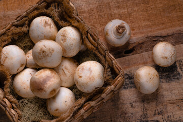 Fresh Button Mushroom on wooden table.