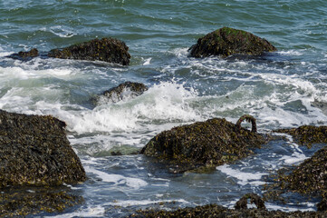 waves and rocks