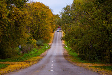 Empty road among the autumn forest