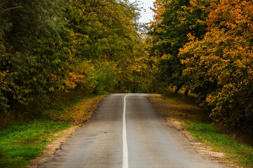 Fototapeta na wymiar Empty road among the autumn forest
