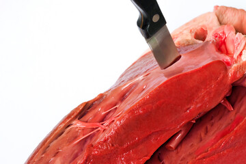 Beef heart. Knife made of stainless steel, stabbed down on the heart, macro. Knife stuck in a beef...