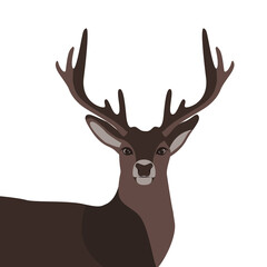 Christmas Deer - Christmas Background - Stock Vector Illustration