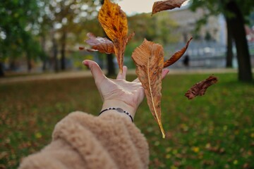Hand in Fluffy Brown Coat Enjoys Fall in European Park. Human Hand Throws Up Brown Autumn Leaves in the Air in the Park during Fall Season.