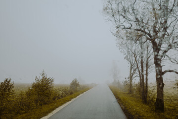Fototapeta premium Neblige Fahrt durch diLandschaft Polens