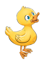 Yellow duckling