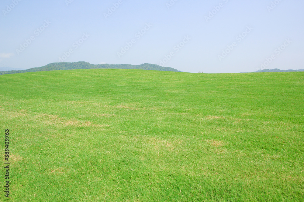 Sticker field of grass