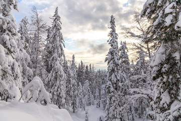 Winter landscape. Taganay national Park, Zlatoust city, Chelyabinsk region, South Ural, Russia.