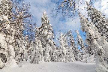 Winter landscape. Taganay national Park, Zlatoust city, Chelyabinsk region, South Ural, Russia.