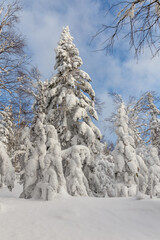 Fototapeta na wymiar Winter landscape. Taganay national Park, Zlatoust city, Chelyabinsk region, South Ural, Russia.
