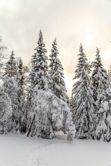 Winter landscape. Taganay national Park, Zlatoust city, Chelyabinsk region, South Ural, Russia.