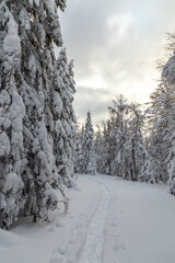 Winter landscape. Taganay national Park, Zlatoust city, Chelyabinsk region, South Ural, Russia.