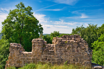 Mauerreste einer Ruine im Wald