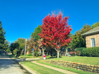 Neighborhood street with corner house for sale near colorful autumn leaves in Dallas, Texas, USA