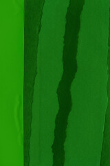Green torn paper collage close-up. Texture made from various paper and cardboard parts. Damaged old paper background. Vintage blank wallpaper. Material design backdrop.