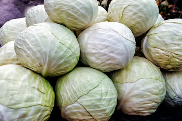 Fototapeta na wymiar a bunch of white cabbages
