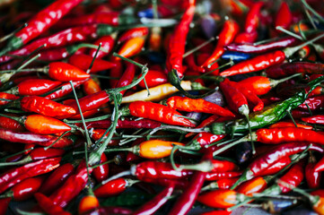 Aliment aromatique piments oiseau - Arrière plan coloré rouge et vert