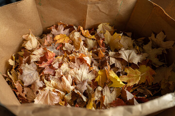 bags of fall leaves have been gathered from your lawn